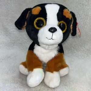 TY Classic Plush 2018 ROSCOE the Bernese Mountain Dog 9.5" gold glittery eyes